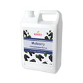 Mulberry (Blackberry)| Multi-Use | Bubble Tea Syrup | Fruit Puree | Fruit Smoothie/Slushie Mix | Foodservice Canada | Ships Free Within Canada on Orders Above CAD $199