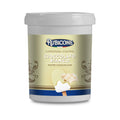 White Chocolate Cone Dip Coating - 1.5 KG Bucket - Rubicone Canada - Ships Free Within Canada on Orders Above CAD $199
