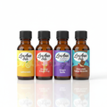 LorAnn Flavor Fountain Dessert Variety Pack