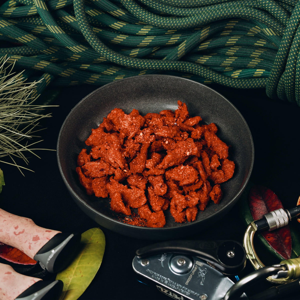 Dried red meat in a black bowl with climbing equipment and rope in the background