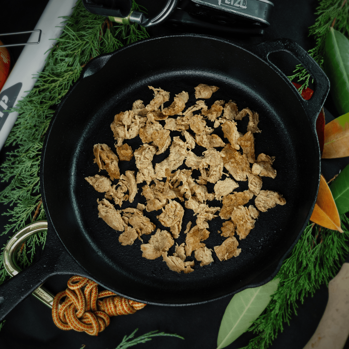 Searered meat in a cast iron skillet on a green leafy background